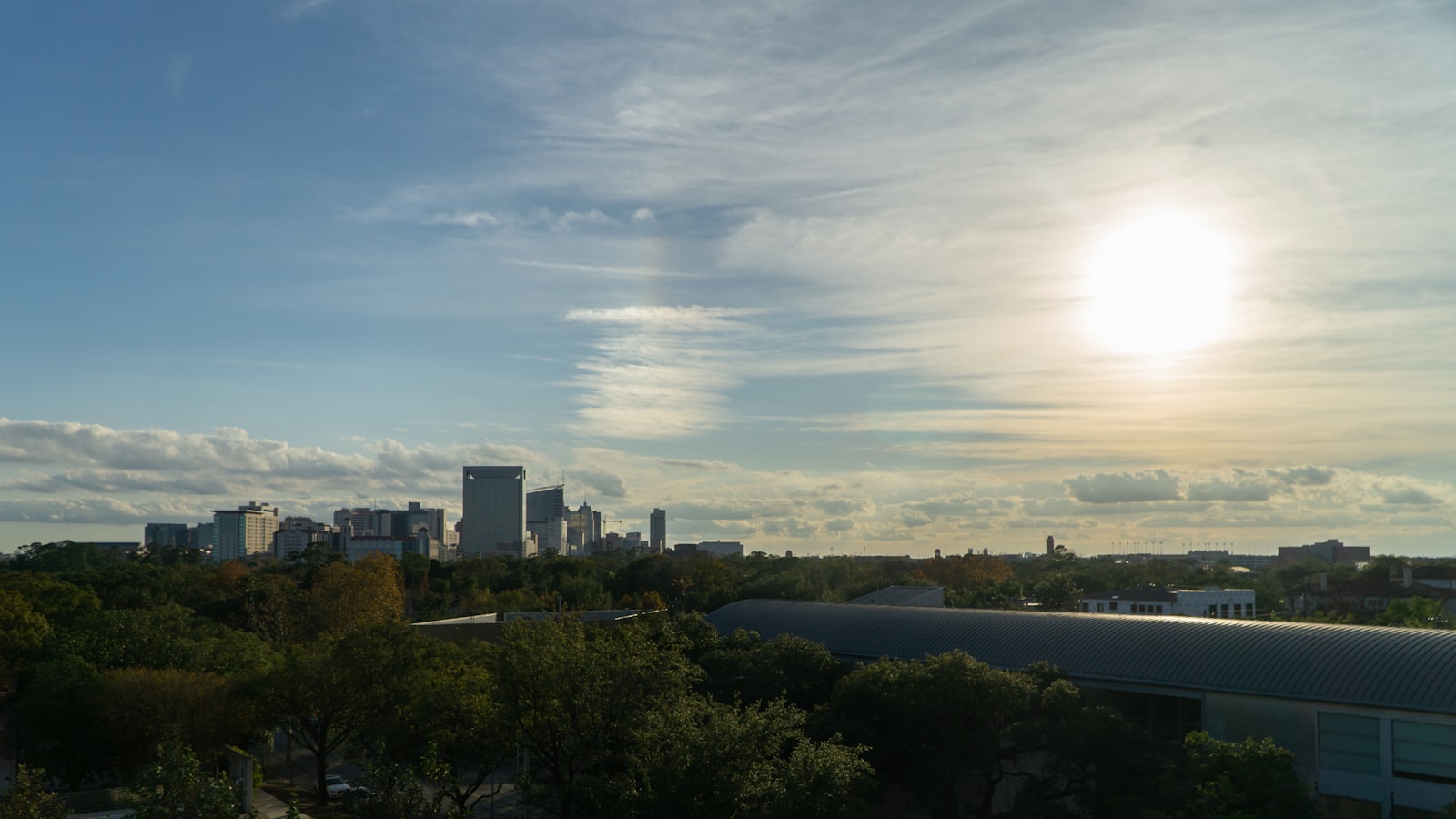 A Texas city skyline rising above tree cover in daylight
