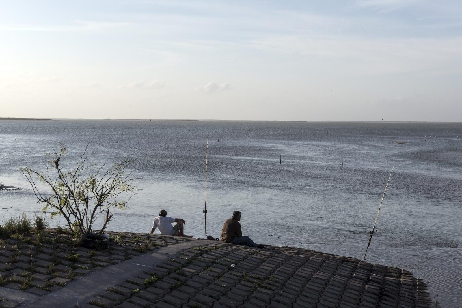 Two men sit on a sloped paved shoreline beside two upright fishing rods, looking out over wide, calm bay water